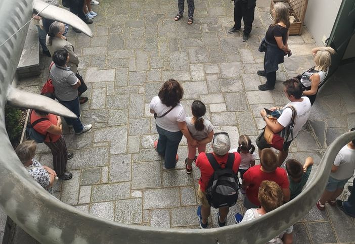 Chi abitava a Besano 240 milioni di anni fa?