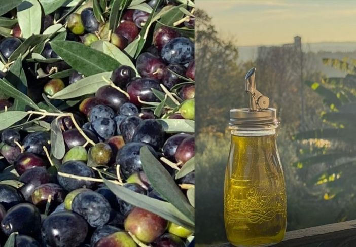 Un'altra eccellenza per Angera: l'olio extravergine di oliva ha ottenuto la De.Co Un'altra eccellenza per Angera: l'olio extravergine di oliva ha ottenuto la De.Co