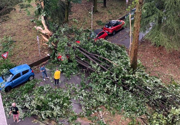 FOTO. Il maltempo colpisce anche l'ospedale di Tradate: allagamenti, alberi caduti e ripercussioni sull'attività sanitaria