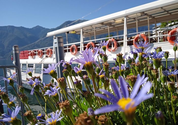 La “vacanza di prossimità” premia il Lago Maggiore La “vacanza di prossimità” premia il Lago Maggiore