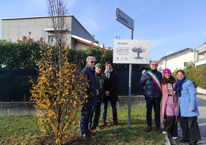 L'inaugurazione del nuovo albero in via Castello a Luvinate L'inaugurazione del nuovo albero in via Castello a Luvinate