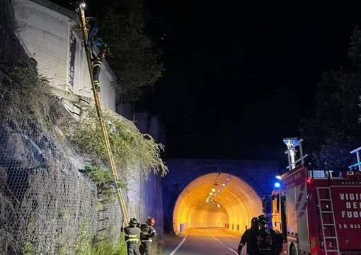 Escursionisti bloccati sul muro di una strada, recuperati dai vigili del fuoco Escursionisti bloccati sul muro di una strada, recuperati dai vigili del fuoco