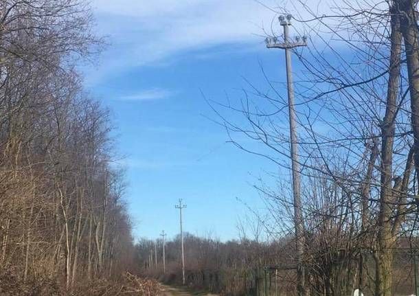 Pali senza linee a Cassano