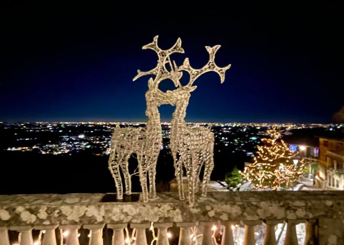 Via le renne dalla terrazza del Mosè: scatta la petizione per riportarle a casa Via le renne dalla terrazza del Mosè: scatta la petizione per riportarle a casa