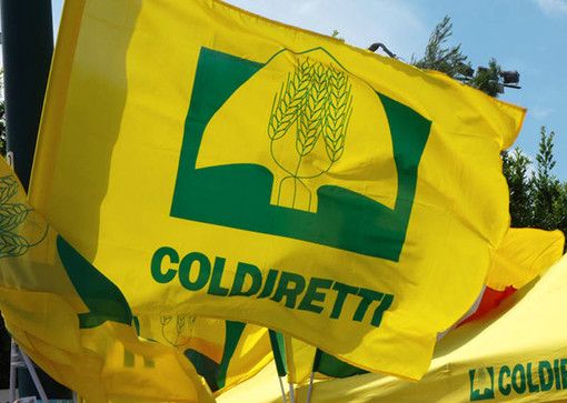 Coldiretti Varese: «Per la prima volta la crisi colpisce anche i consumi essenziali»