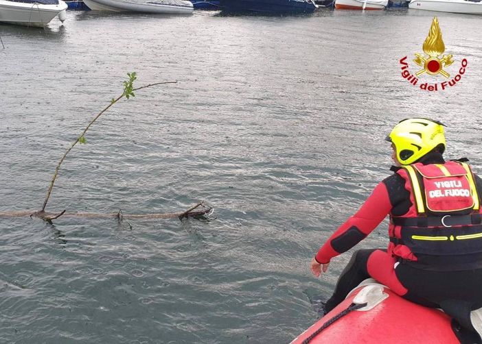 L'intervento in acqua dei vigili del fuoco sul lago Maggiore