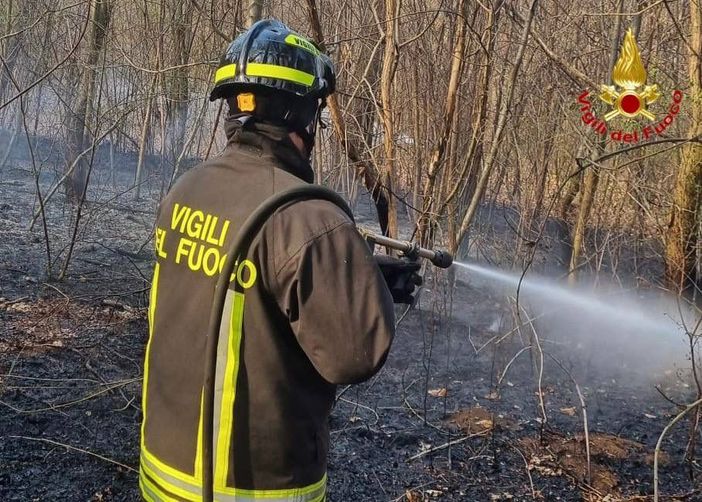 Ancora un incendio nei boschi: vigili del fuoco a Samarate. FOTO