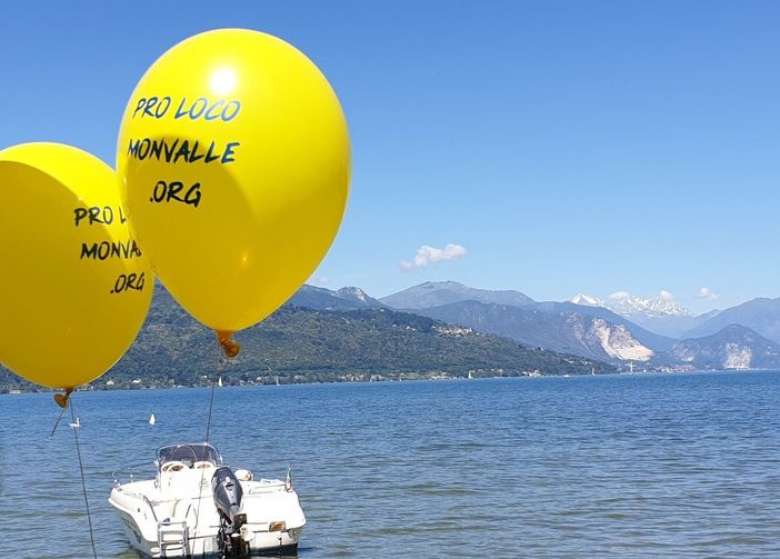 Monvalle "patria" dell'alborella: sabato e domenica torna la tradizionale sagra sulla rive del lago Monvalle "patria" dell'alborella: sabato e domenica torna la tradizionale sagra sulla rive del lago
