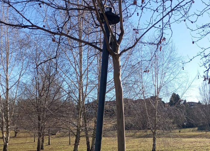 Lampione vandalizzato all'Insubria. I cavi elettrici sono rimasti scoperti lungo il sentiero