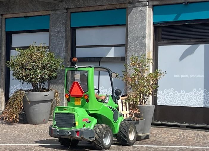 Gallarate più verde e curata: nuovi alberi in centro. I "vasoni" traslocano nei quartieri Gallarate più verde e curata: nuovi alberi in centro. I "vasoni" traslocano nei quartieri