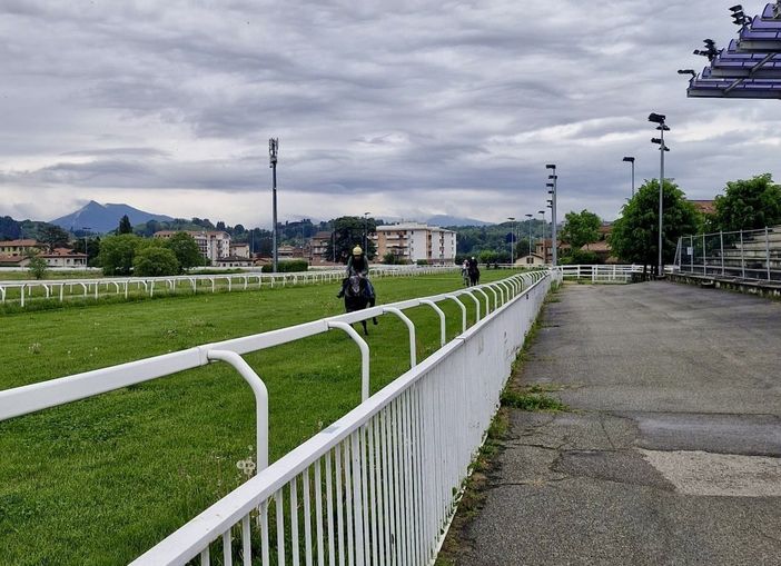 Ippodromo, la "Varese Turf & Sport" annuncia l'apertura della pista in erba: «Innovazioni per la stagione estiva alle Bettole» Ippodromo, la "Varese Turf & Sport" annuncia l'apertura della pista in erba: «Innovazioni per la stagione estiva alle Bettole»