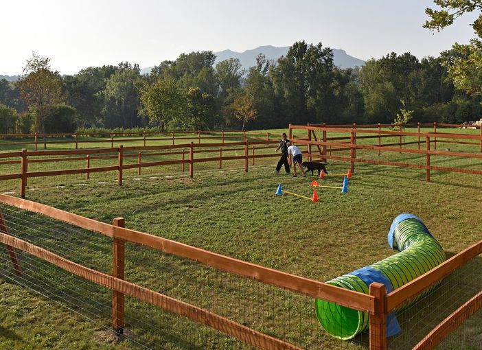 (foto dalla pagina Facebook del centro cinofilo Il Roncato) (foto dalla pagina Facebook del centro cinofilo Il Roncato)