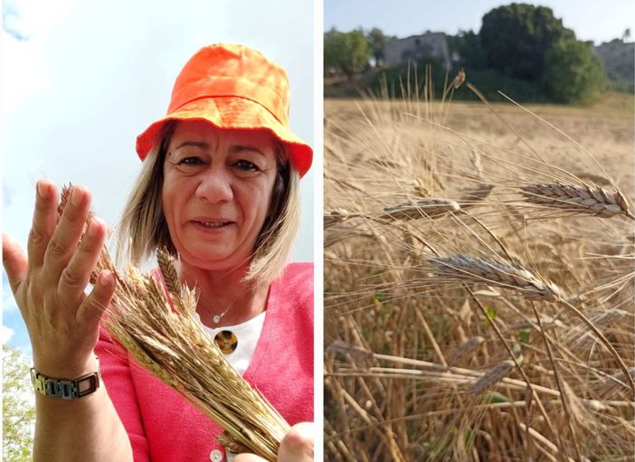 Maria Rosaria Genio con il suo grano