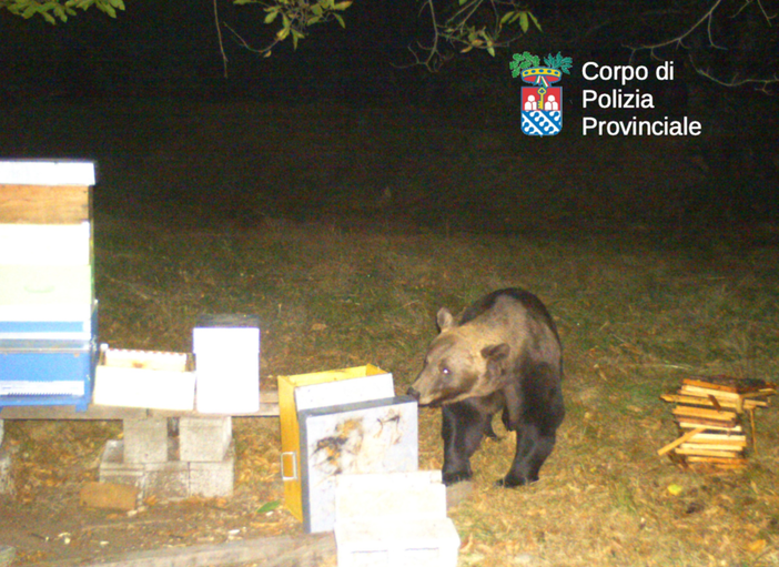 foto tratta da Ossolanews.it