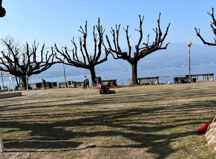 I lavori di manutenzione del manto erboso sul lungolago di Cerro I lavori di manutenzione del manto erboso sul lungolago di Cerro