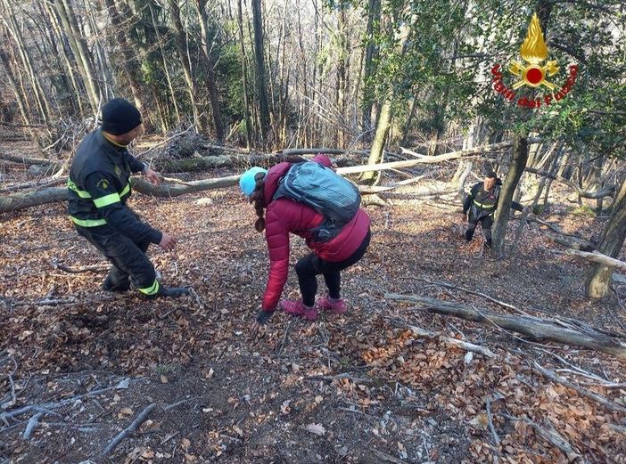Si perde nel bosco durante un'escursione nel Vco, turista tedesca recuperata dai vigili del fuoco