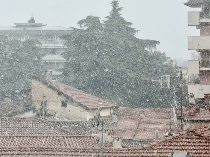 Il nevischio a Varese in una foto pubblicata da Bertoni