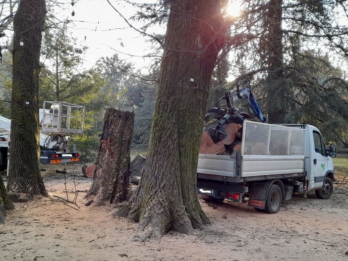Gallarate: motoseghe al parco Bassetti Gallarate: motoseghe al parco Bassetti