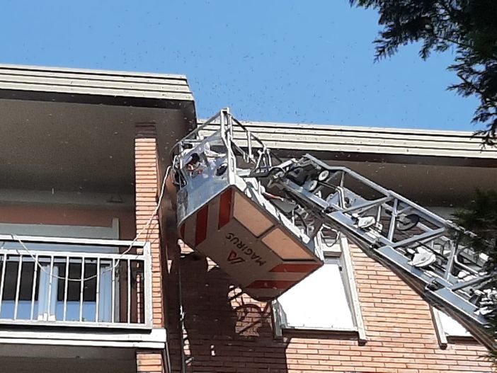 (foto tratta da IlSaronno.it)