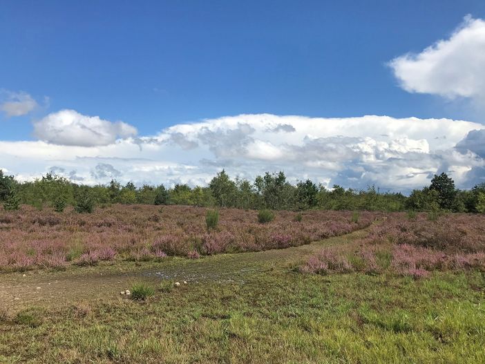 Masterplan Malpensa e Ospedale unico: la segreteria Pd convoca i circoli provinciali Masterplan Malpensa e Ospedale unico: la segreteria Pd convoca i circoli provinciali