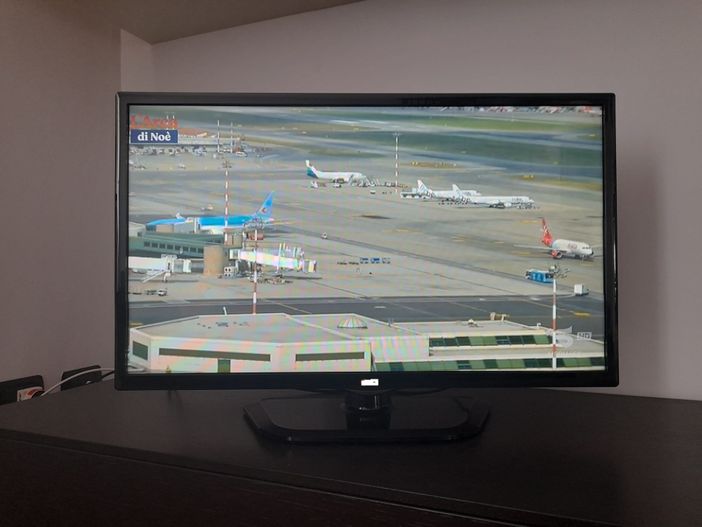 Immagini dal servizio mandato in onda da Canale 5 - L'arca di Noè