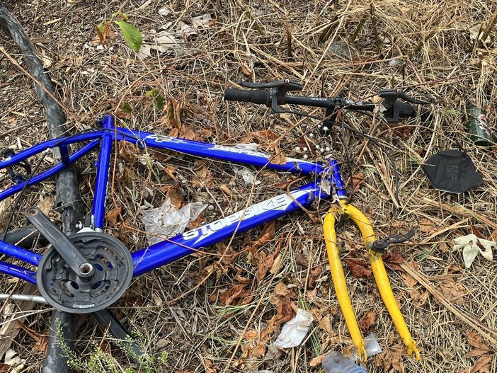 La discarica all'ombra della villa