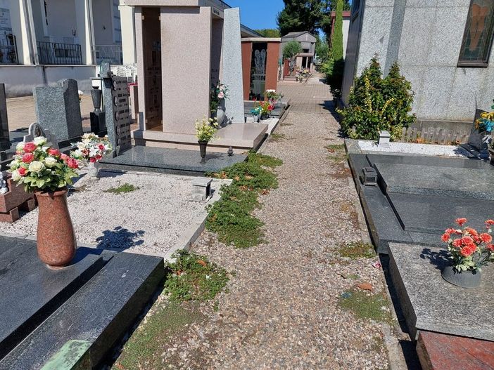 Maurizio Pacchioni riflette sulle criticità olgiatesi