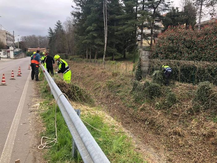 L'operazione di pulizia a Cassano (foto del Comune)