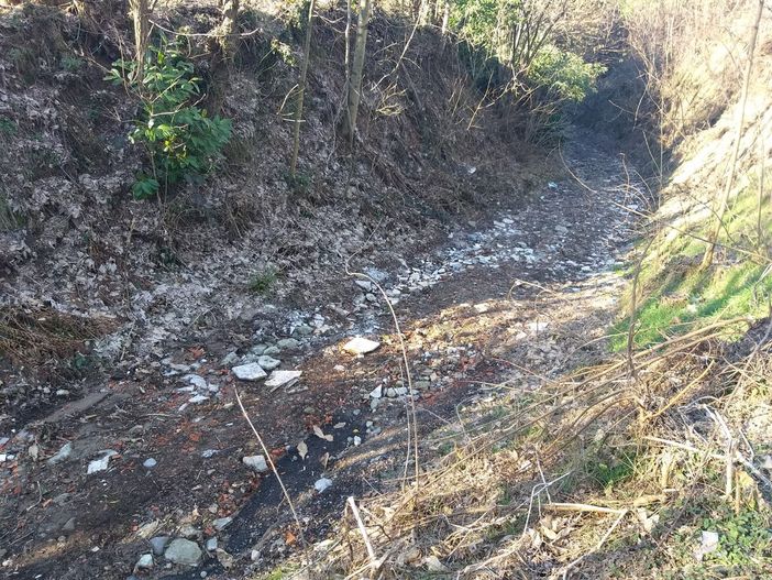 I consiglieri di Forza Italia a Bizzozero: «In via dei Cavalli raccolta firme per la zona a 30 all'ora»