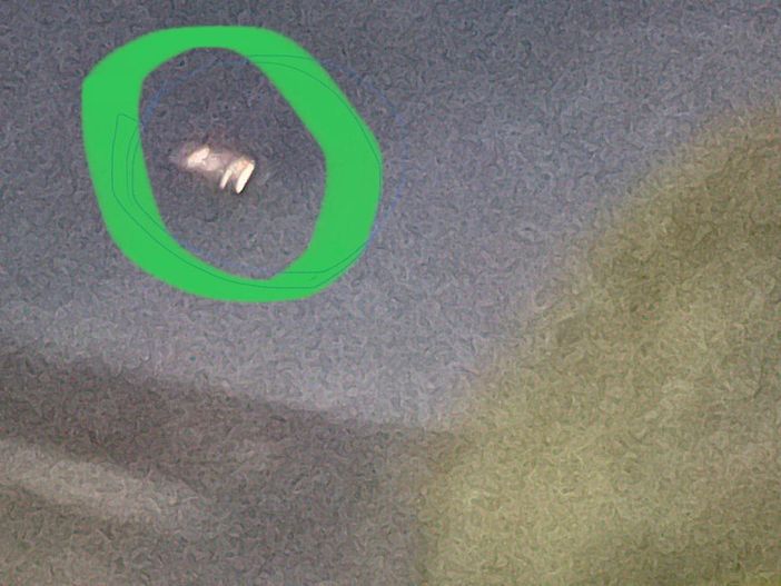 (per la foto tratta da ilSaronno.it si ringrazia Giuseppe Plateroti)