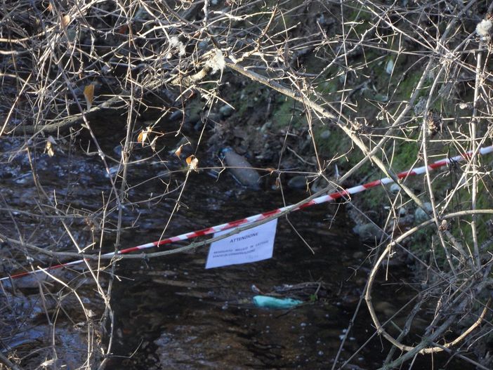 (foto d'archivio da ilSaronno.it) (foto d'archivio da ilSaronno.it)