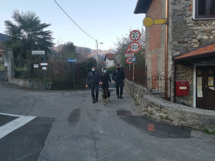 Spaccio nel Luinese, due italiani in manette. I due incastrati dal fiuto del "cane carabiniere" Kevin
