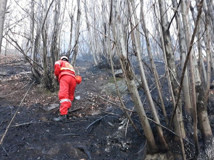 Volontari antincendio da Varese e Lombardia in Sardegna e Sicilia per il rafforzamento della lotta AIB Volontari antincendio da Varese e Lombardia in Sardegna e Sicilia per il rafforzamento della lotta AIB