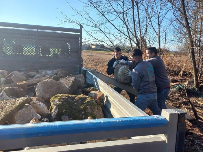 Rimozioni dei rifiuti nel parco