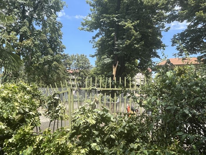 Danni per il maltempo: Busto raccoglie le segnalazioni