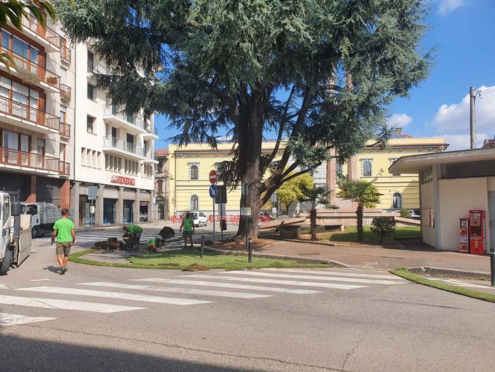 VIDEO. Il messaggio dell’assessore ai cittadini: «Non concentratevi sulla viabilità, ma sulla piazza. E viviamola» VIDEO. Il messaggio dell’assessore ai cittadini: «Non concentratevi sulla viabilità, ma sulla piazza. E viviamola»