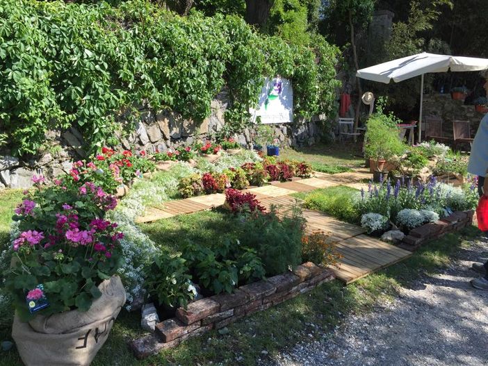 Ispra, InFiorita 2022: manifestazione rinviata a sabato 7 e domenica 8 maggio Ispra, InFiorita 2022: manifestazione rinviata a sabato 7 e domenica 8 maggio