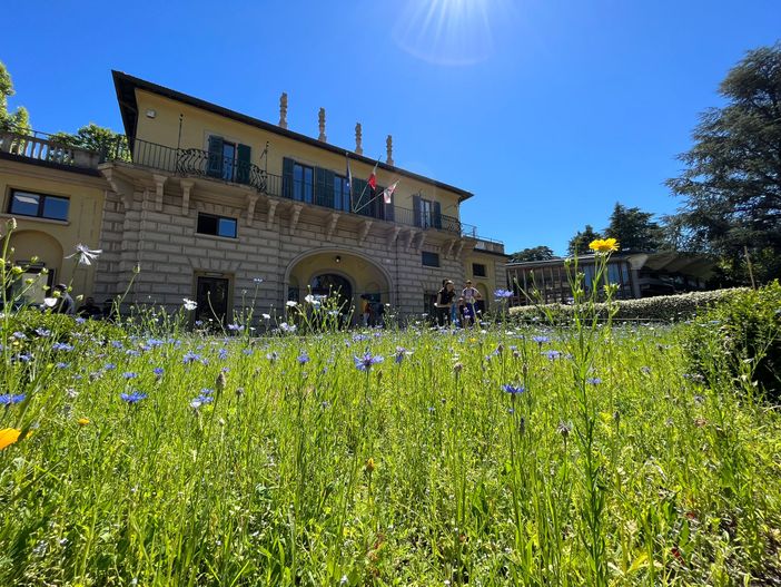 Una Varese più verde, fiorita e ospitale con le api, per favorire la biodiversità