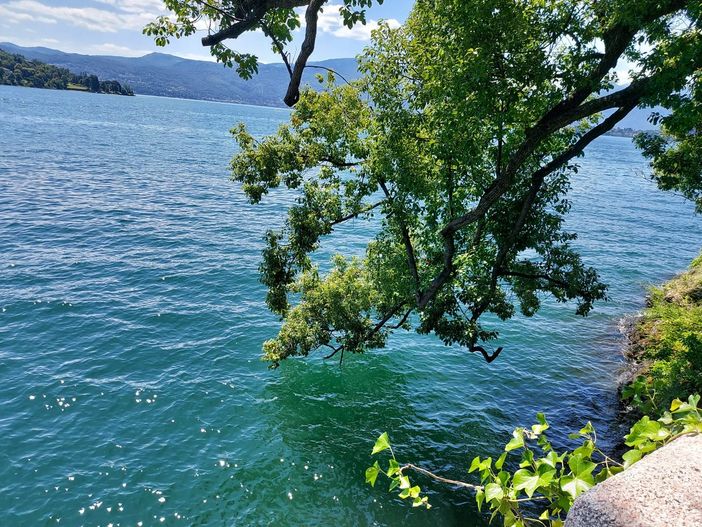 Uno scorcio del lago Maggiore dal Parco delle Torrazze di Laveno
