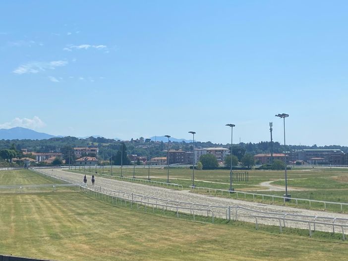 Cavalli in pista alle Bettole