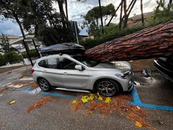 Un'auto colpita da un tronco a Milano Marittina  (foto dalla pagina Facebook Emilia Romagna Meteo)