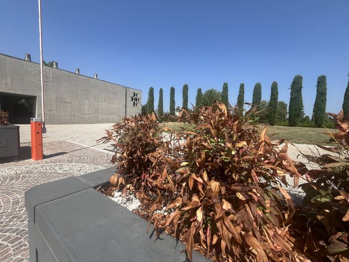 Pianta secca e telecamera in perenne attesa: il triste benvenuto al cimitero di Busto Pianta secca e telecamera in perenne attesa: il triste benvenuto al cimitero di Busto
