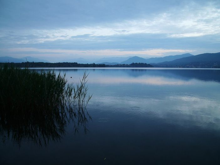 Riduzione delle fioriture algali e della presenza di cianobatteri nel lago di Varese Riduzione delle fioriture algali e della presenza di cianobatteri nel lago di Varese