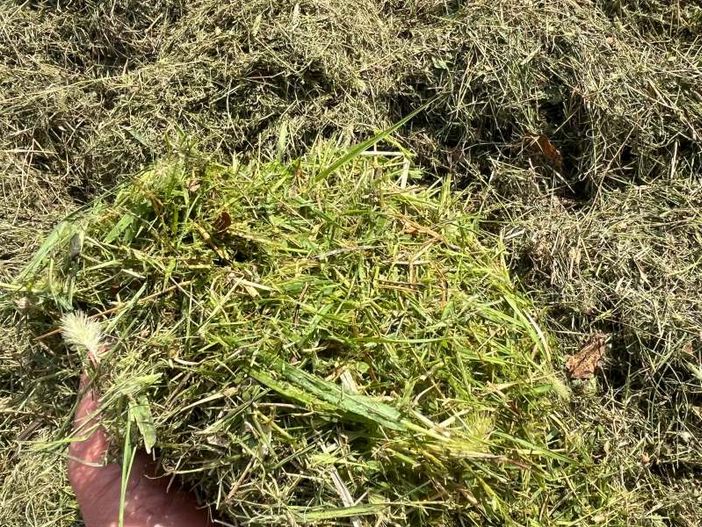 Coldiretti Varese con Assofloro: i residui verdi da costo a risorsa. «La floricoltura è strategica per l’economia del territorio»