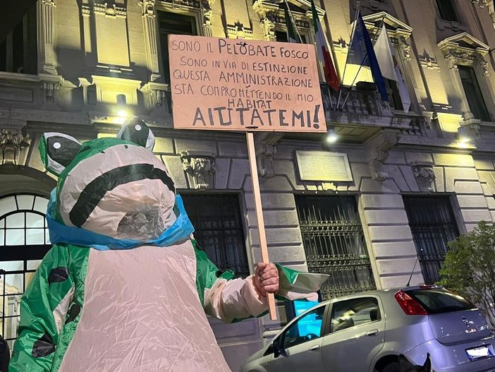 «Aiutatemi»: appello del pelobate davanti a palazzo Borghi ma sul nuovo palazzetto si tira dritto