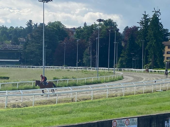 L'ippodromo di Varese L'ippodromo di Varese