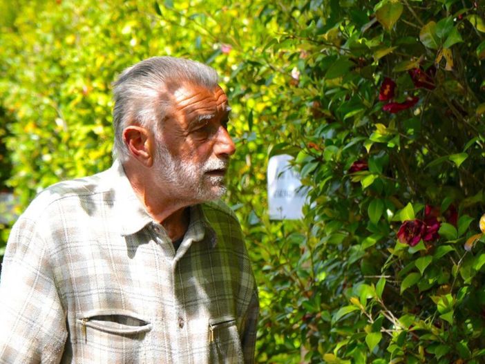 Il cavalier Enrico "Chicco" Gasparini nel suo labirinto delle camelie a Laveno