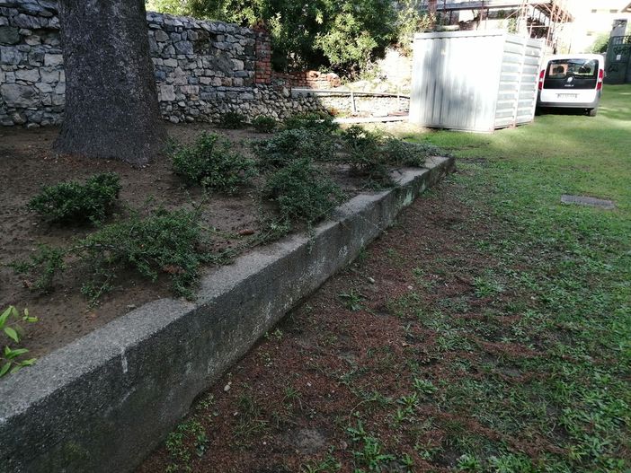 Gli anziani del Centro Ricreativo di Angera si trasformano in giardinieri e fanno rifiorire piazza Parrocchiale