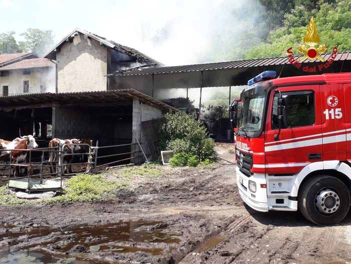 Incendio in una stalla di Angera, sul posto i vigili del fuoco Incendio in una stalla di Angera, sul posto i vigili del fuoco
