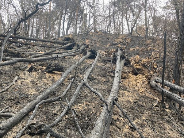 Le immagini drammatiche di ciò che ha causato l'incendio di Angera